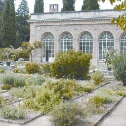 Montpellier_jardin_plantes3
